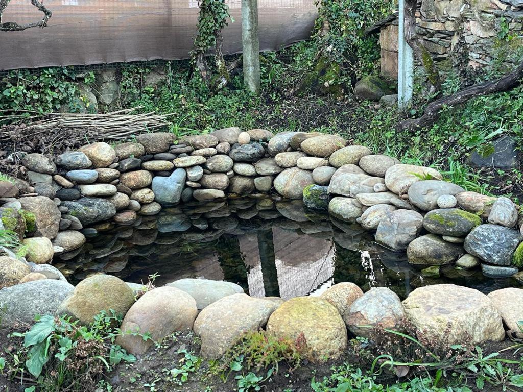 فيلا Casa Do Adro-Passadicos Do Paiva اروكا المظهر الخارجي الصورة