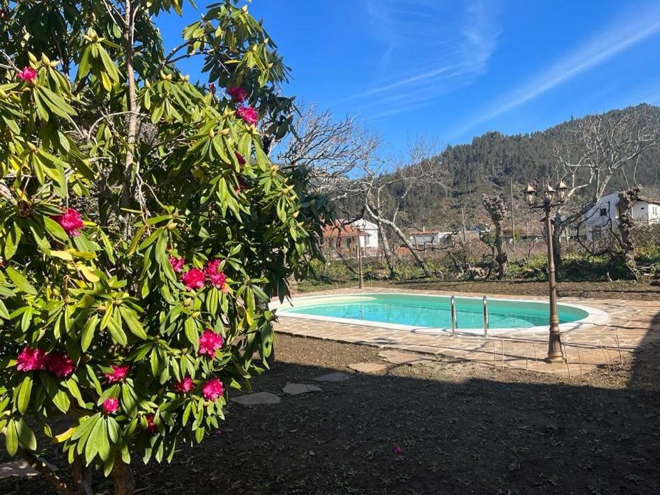 فيلا Casa Do Adro-Passadicos Do Paiva اروكا المظهر الخارجي الصورة